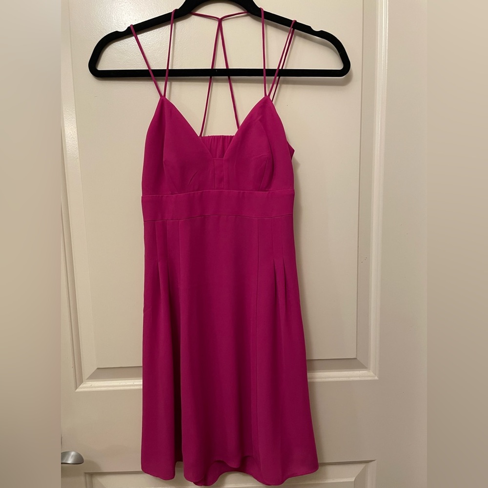 Express Magenta Skater Dress